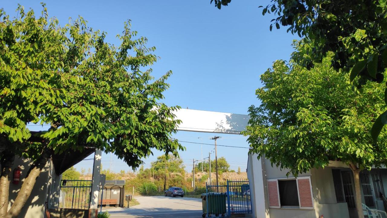 Camping Mitikas And Bungalows Plaka Litochorou Exterior foto